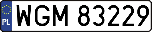WGM83229