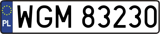 WGM83230