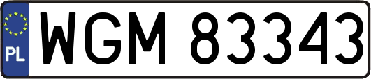 WGM83343