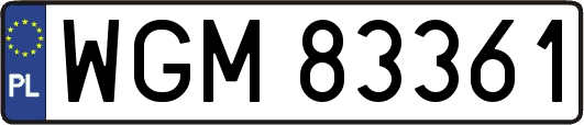 WGM83361