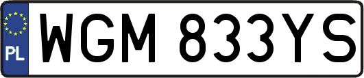 WGM833YS