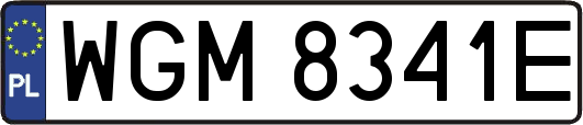 WGM8341E