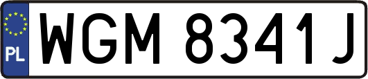 WGM8341J
