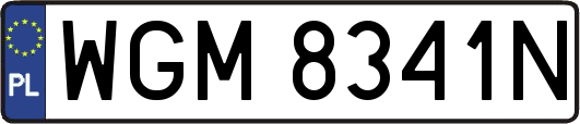 WGM8341N