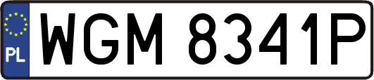 WGM8341P