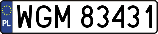 WGM83431