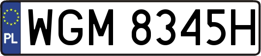 WGM8345H