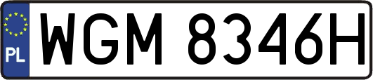 WGM8346H