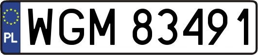 WGM83491