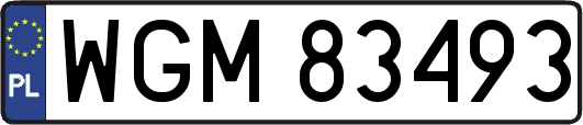 WGM83493