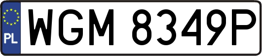 WGM8349P