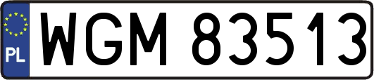 WGM83513
