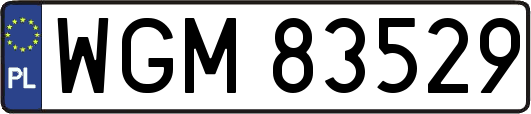 WGM83529