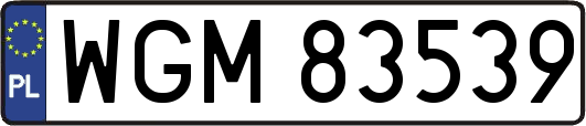 WGM83539