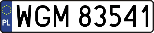 WGM83541