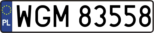WGM83558