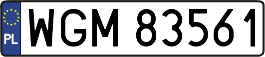 WGM83561