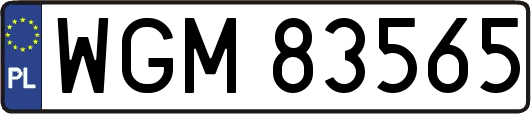 WGM83565