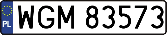 WGM83573