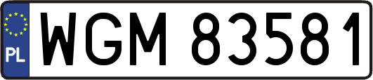 WGM83581