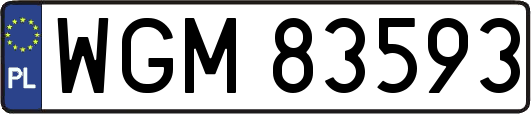 WGM83593