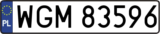 WGM83596