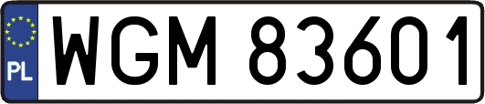 WGM83601