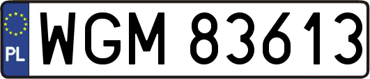 WGM83613
