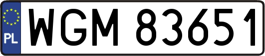WGM83651