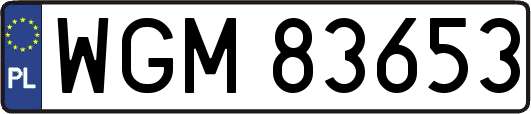 WGM83653