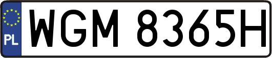 WGM8365H