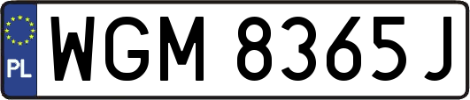WGM8365J