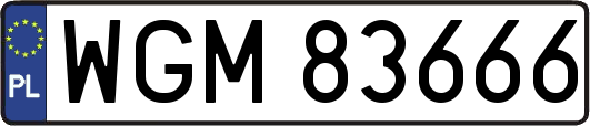 WGM83666