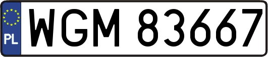 WGM83667