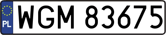 WGM83675
