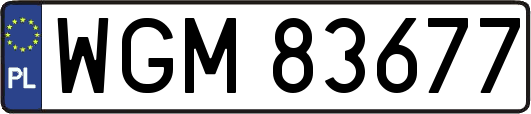 WGM83677