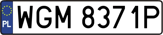 WGM8371P
