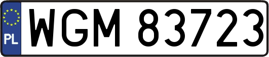WGM83723