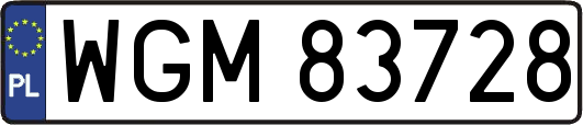 WGM83728