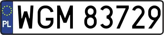 WGM83729