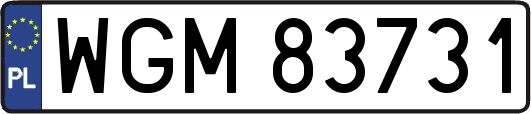 WGM83731