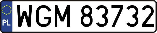 WGM83732