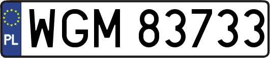 WGM83733