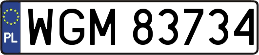 WGM83734