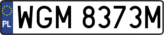 WGM8373M