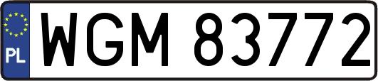 WGM83772