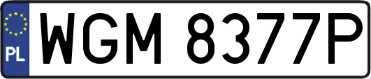 WGM8377P