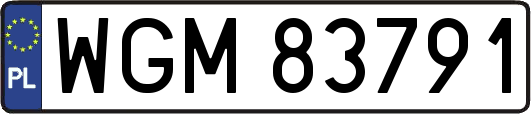 WGM83791