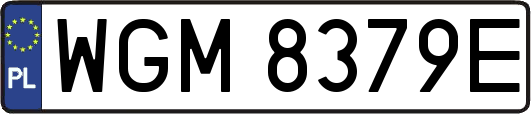 WGM8379E