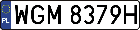 WGM8379H